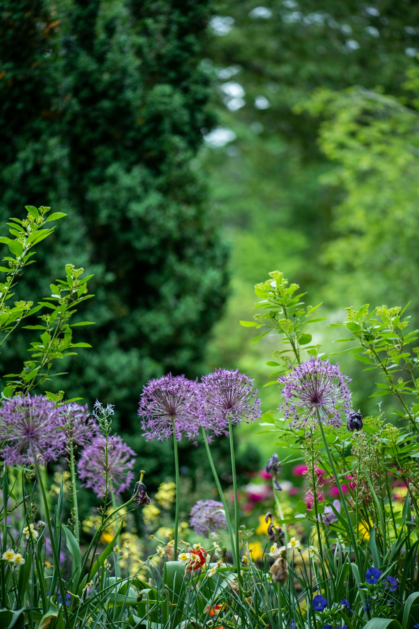 Five Essential Tips For A Lush Green Lawn